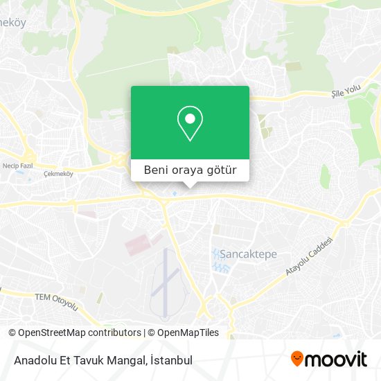 Anadolu Et Tavuk Mangal harita