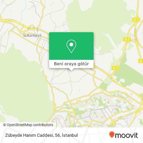 Zübeyde Hanım Caddesi, 56 harita