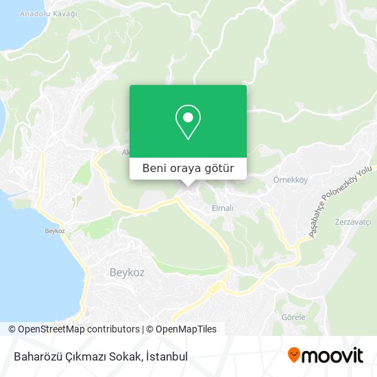 Baharözü Çıkmazı Sokak harita