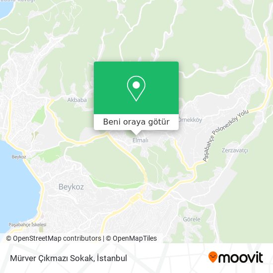 Mürver Çıkmazı Sokak harita