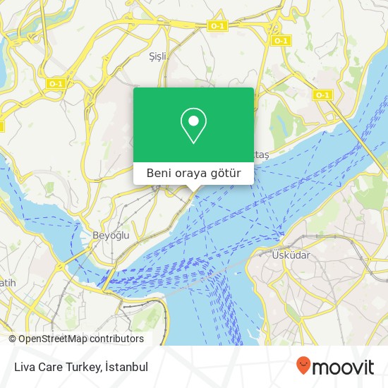 Liva Care Turkey harita