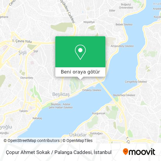 Çopur Ahmet Sokak / Palanga Caddesi harita