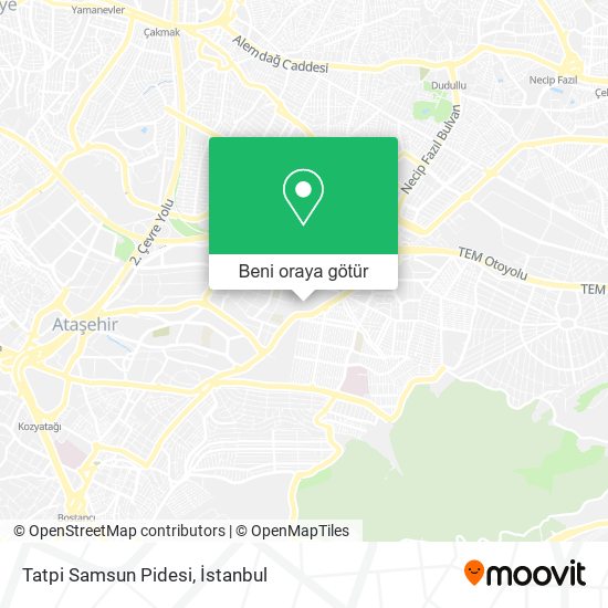 Tatpi Samsun Pidesi harita