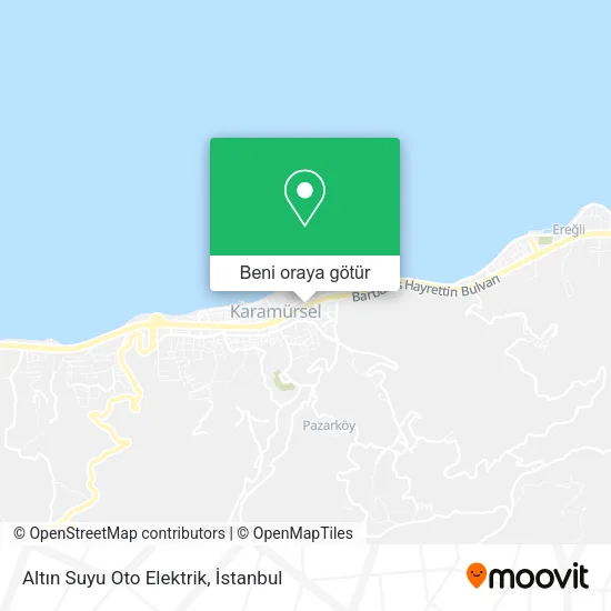 Altın Suyu Oto Elektrik harita