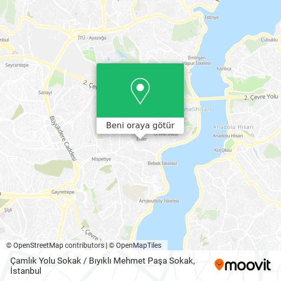 Çamlık Yolu Sokak / Bıyıklı Mehmet Paşa Sokak harita