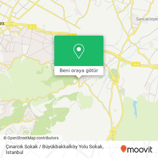 Çınarcık Sokak / Büyükbakkalköy Yolu Sokak harita