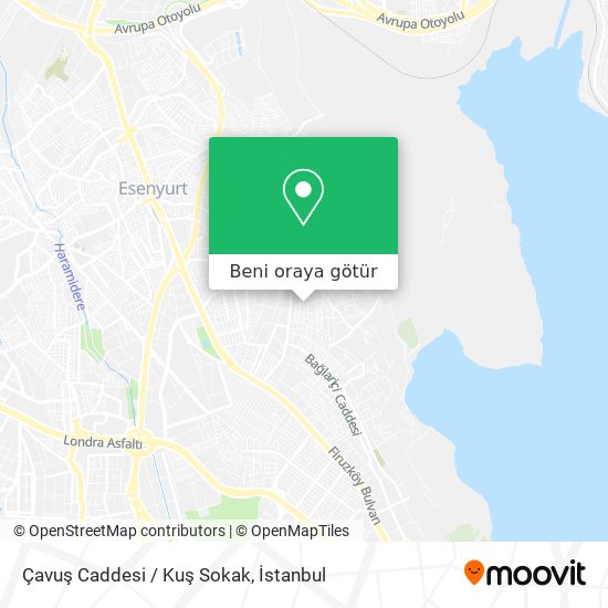 Çavuş Caddesi / Kuş Sokak harita