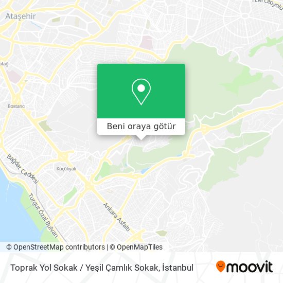Toprak Yol Sokak / Yeşil Çamlık Sokak harita