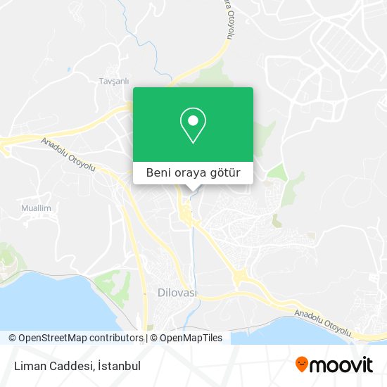 Liman Caddesi harita