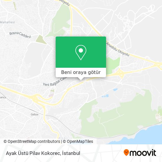 Ayak Üstü Pilav Kokorec harita