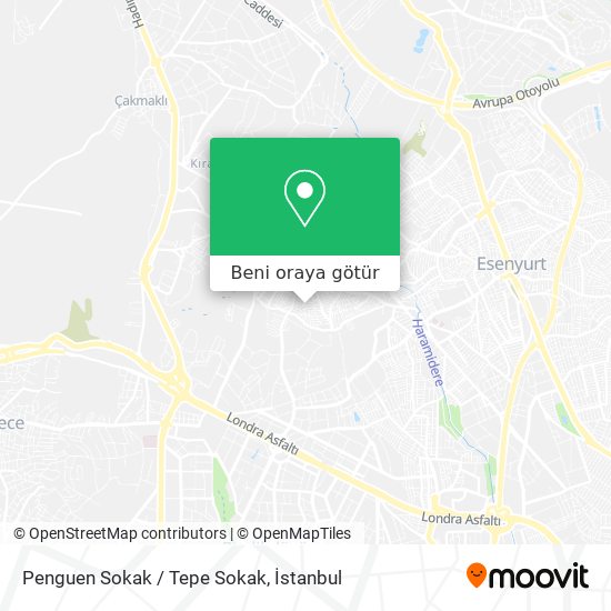 Penguen Sokak / Tepe Sokak harita