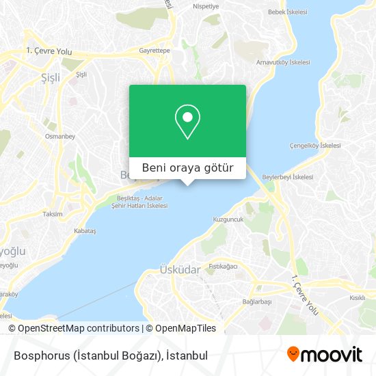 Bosphorus (İstanbul Boğazı) harita