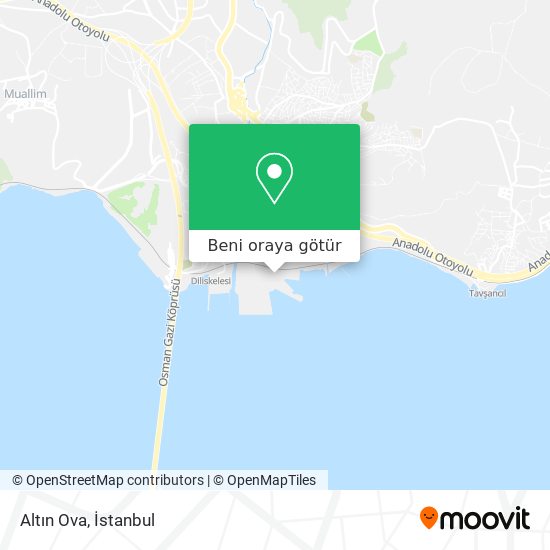 Altın Ova harita