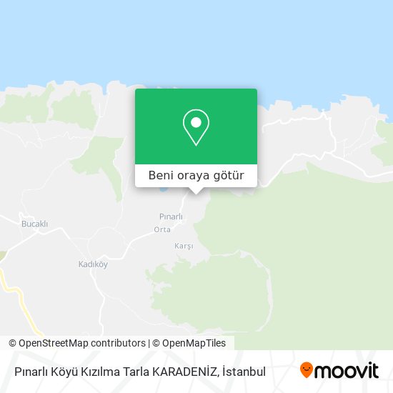 Pınarlı Köyü Kızılma Tarla KARADENİZ harita