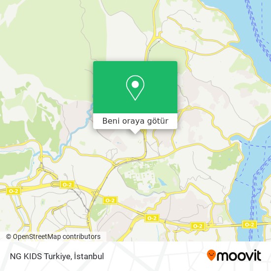 NG KIDS Turkiye harita