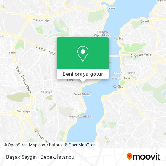 Başak Saygın - Bebek harita