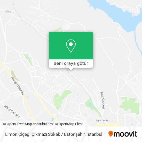 Limon Çiçeği Çıkmazı Sokak / Estonşehir harita