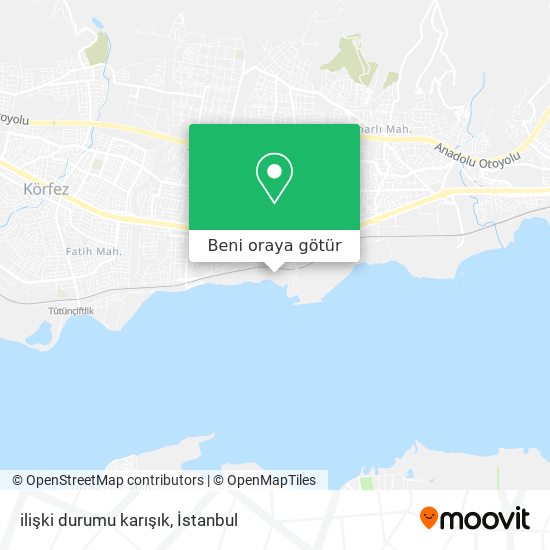 ilişki durumu karışık harita