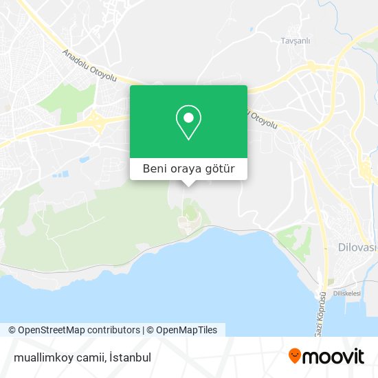 muallimkoy camii harita