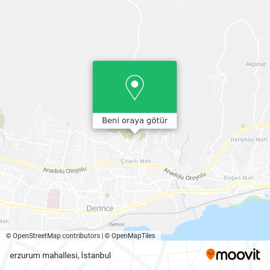 erzurum mahallesi harita