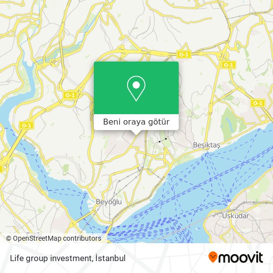 Life group investment harita