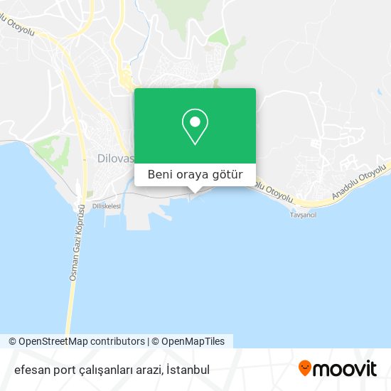 efesan port çalışanları arazi harita