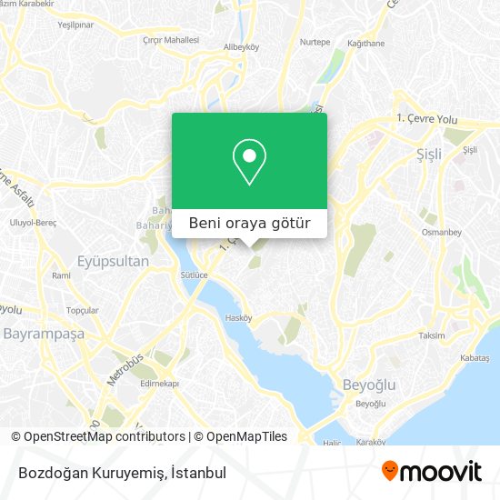 Bozdoğan Kuruyemiş harita