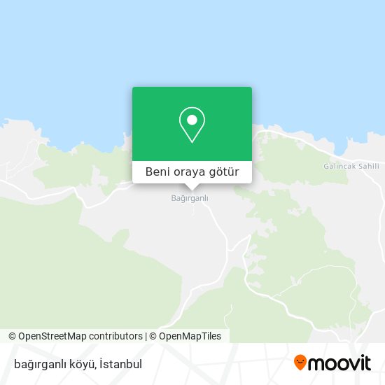 bağırganlı köyü harita