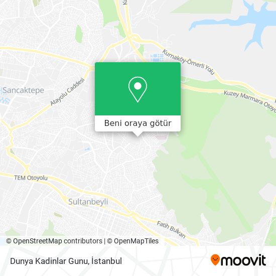 Dunya Kadinlar Gunu harita