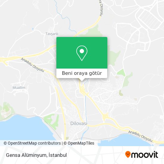 Gensa Alüminyum harita