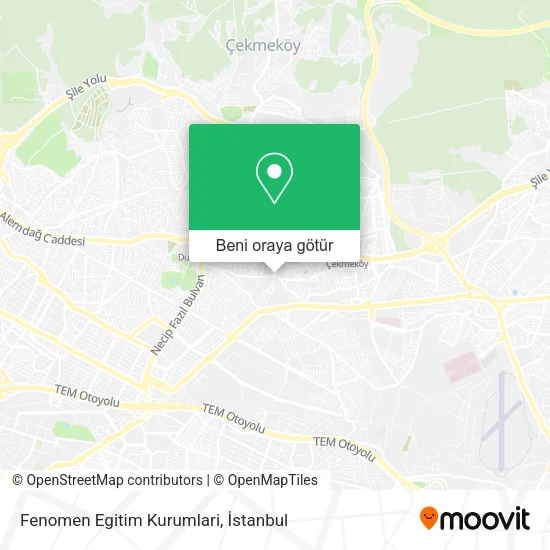 Fenomen Egitim Kurumlari harita