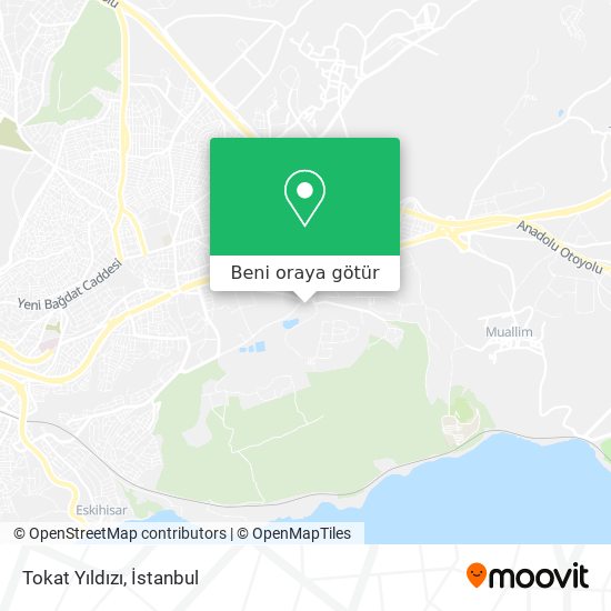 Tokat Yıldızı harita