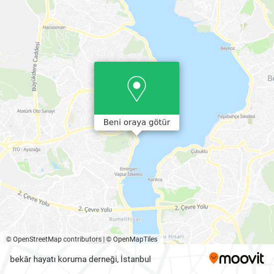 bekâr hayatı koruma derneği harita