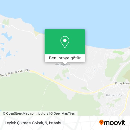 Leylek Çıkmazı Sokak, 9 harita