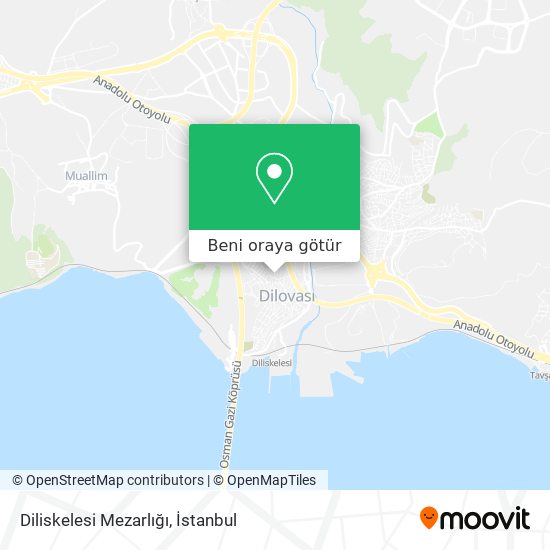 Diliskelesi Mezarlığı harita