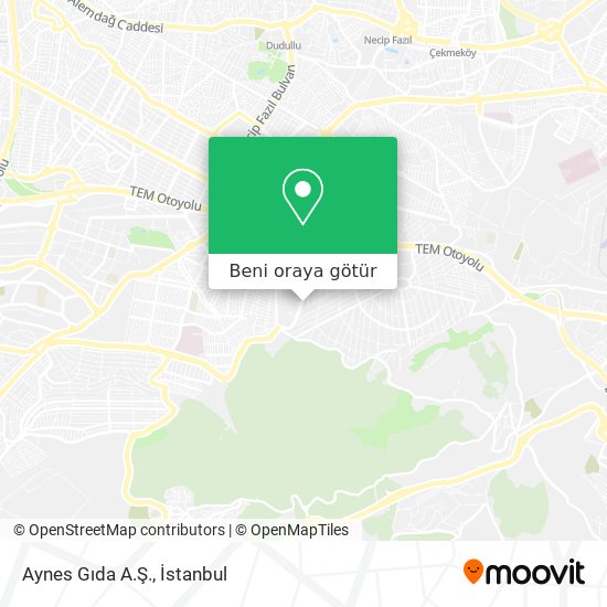 Aynes Gıda A.Ş. harita
