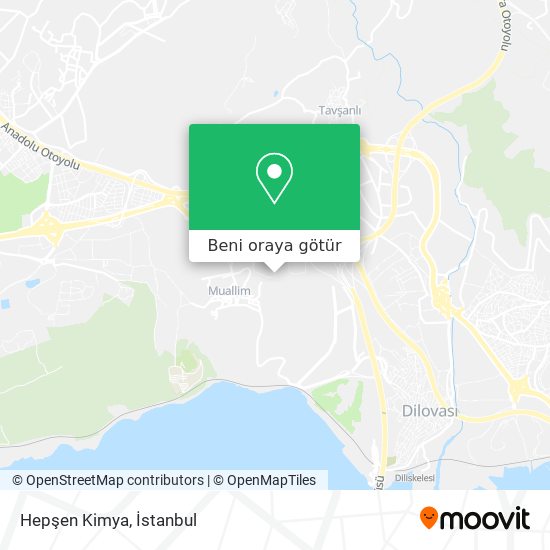 Hepşen Kimya harita