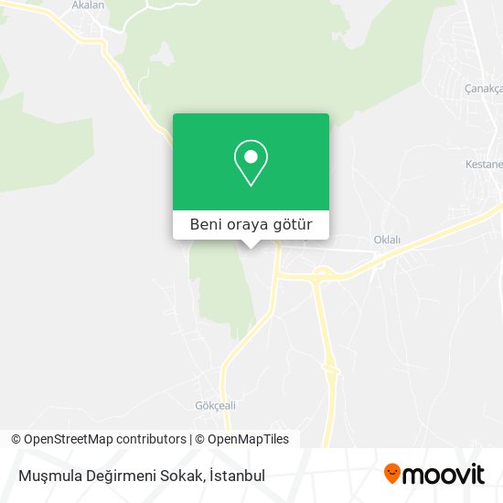 Muşmula Değirmeni Sokak harita