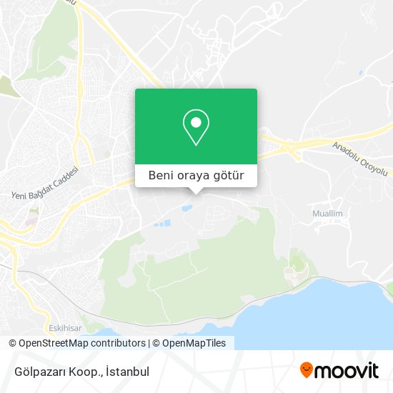 Gölpazarı Koop. harita
