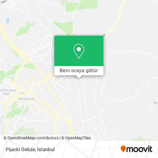 Pijacki Gebze harita