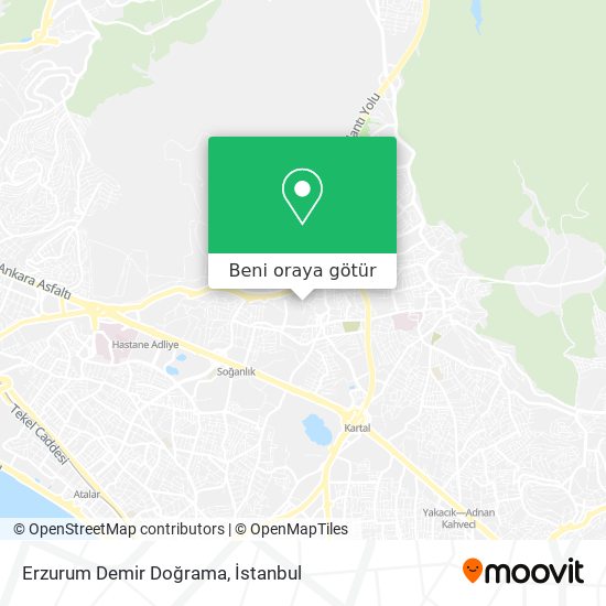 Erzurum Demir Doğrama harita