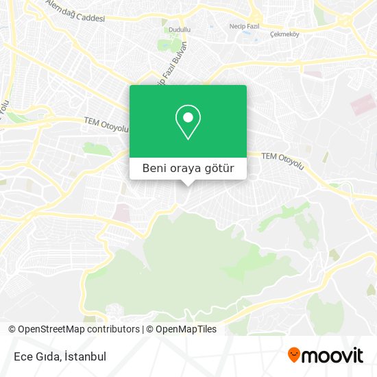 Ece Gıda harita