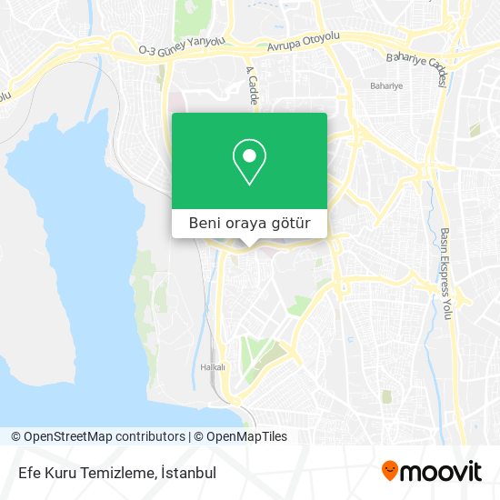 Efe Kuru Temizleme harita