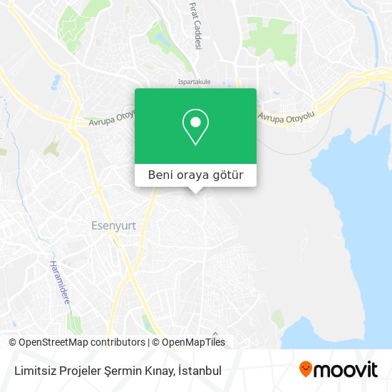 Limitsiz Projeler Şermin Kınay harita