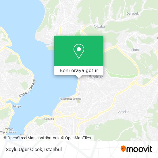 Soylu Ugur Cıcek harita
