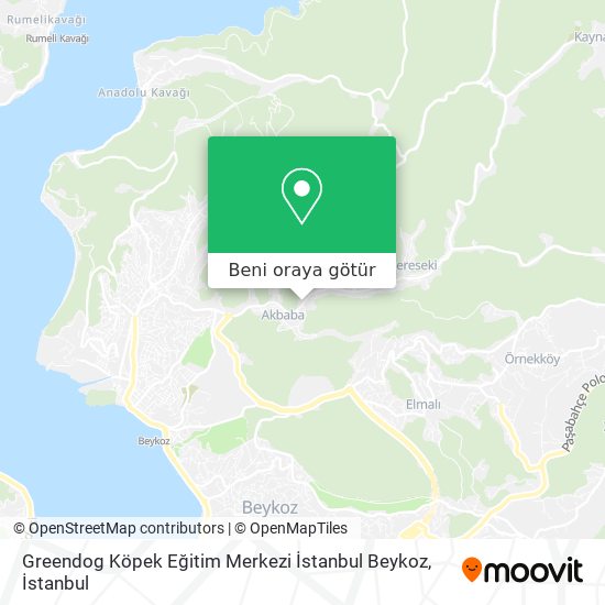 Greendog Köpek Eğitim Merkezi İstanbul Beykoz harita