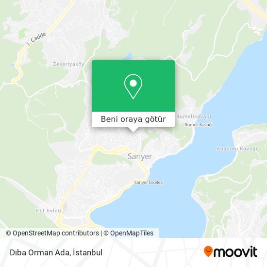 Dıba Orman Ada harita