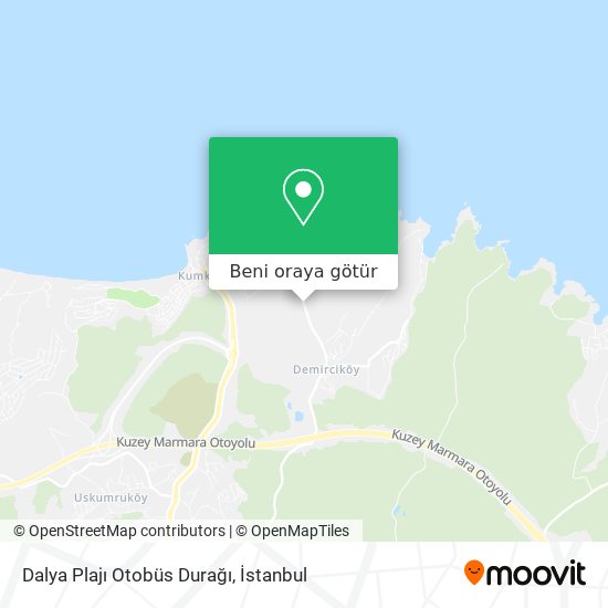 Dalya Plajı Otobüs Durağı harita