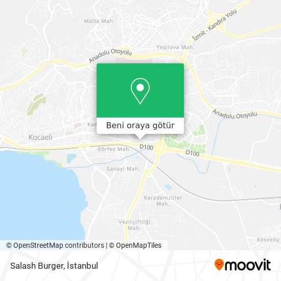 Salash Burger harita