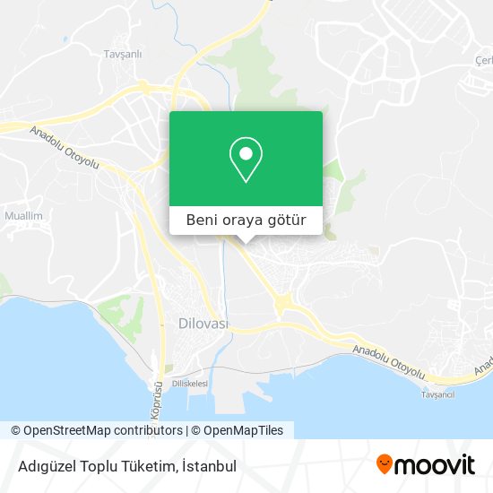 Adıgüzel Toplu Tüketim harita
